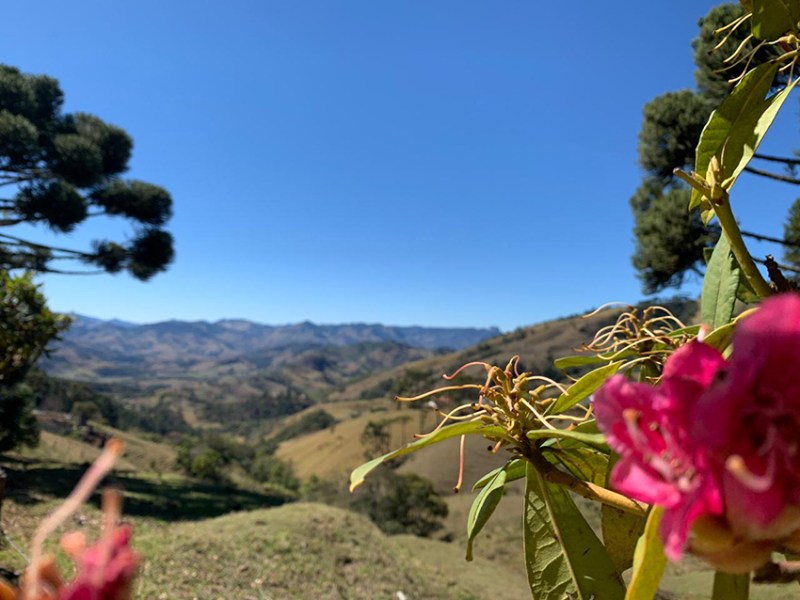 O que fazer em&nbsp;Gonçalves?